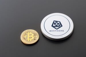 WhiteRock Surges In Crypto Rankings Investors Take Notice